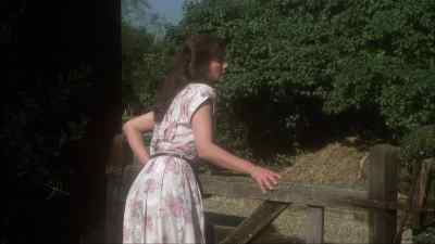 Sammy‎, come on‎,
it's time to cut the cake‎. - The Godsend
