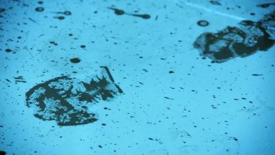SANDERS:
Got a partial shoe impression. - CSI: Crime Scene Investigation