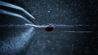 SANDERS:
Missed a spot. - CSI: Crime Scene Investigation
