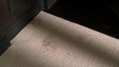 Sara and Greg went through
these cans last night. - CSI: Crime Scene Investigation