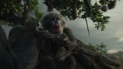 My old friend. - The Lion King
