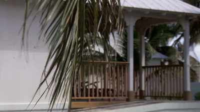 Sarah: Alain's put a
proposal together, - Island of Bryan
