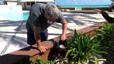 Sarah: ...and landscape
lights need to be - Island of Bryan