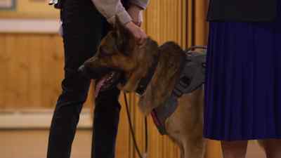 [Sarah] Bernadette Quinn
resigned abruptly last year - Jazz Ramsey: A K-9 Mystery