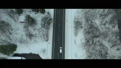 [Sarma] We drove my car
up to Montreal, left it there, - Bad Vegan: Fame. Fraud. Fugitives.