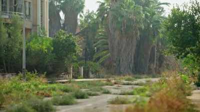 [Sascha Auerbach]
Weeds now overrun
the deserted streets, - Mysteries of the Abandoned
