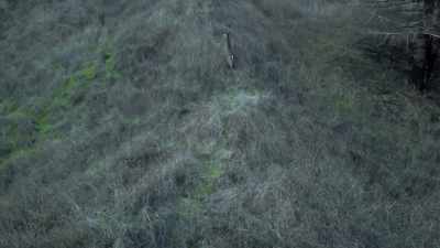 Saturday,
it was a terrifying scene - Murder Mountain