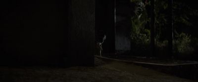 (SAUL BARKS, GROWLS)
BRUCE: Saul? - The Infernal Machine