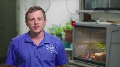 Saul: Tessa loves these guys, - Secrets of the Zoo