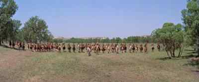 Save your ammunition!
Shoot only on my command! - Chief Crazy Horse