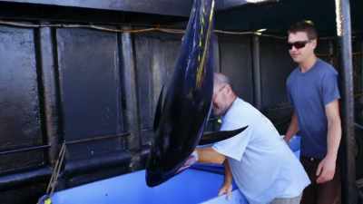 Saw that this operation
 could get bigger and bigger - Deadliest Catch: Bloodline