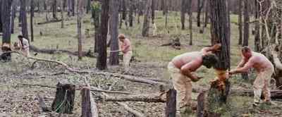 (sawing and hacking) - Mad Dog Morgan