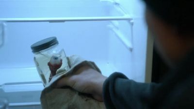 Sawyer, you got something? - NCIS