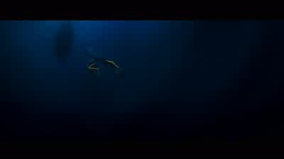 Say goodbye to your human heartthrob. - The Little Mermaid