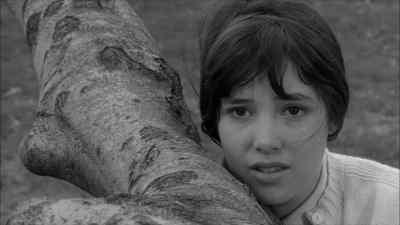 Say to me what you see. - David and Lisa