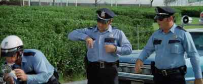 Say, Rob, you haven't seen
a Roadrunner around here - Brewster McCloud