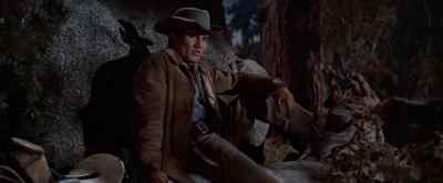 Say... was you really going
to marry that Jake guy? - The Law and Jake Wade