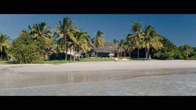 SCAACHI: In 2022, I flew
to Punta Mita - Girls Gone Wild: The Untold Story