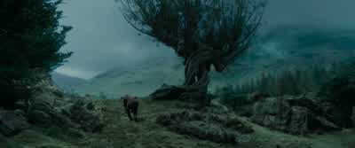- Scabbers, you bit me! - Harry Potter and the Prisoner of Azkaban