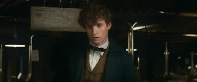 Scamander... - Fantastic Beasts and Where to Find Them