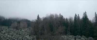 Scarce animals.
Shonokins. Mountain spirits. - Hellboy: The Crooked Man