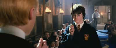 Scared Potter You wish - Harry Potter and the Chamber of Secrets
