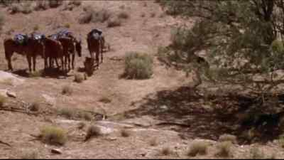 Schrader, get rid of the horses! - One Little Indian