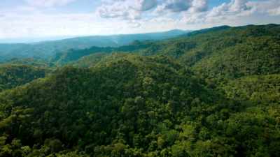 Science and archaeology
are gradually revealing - Lost Treasures of the Maya