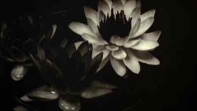 Science tells us
there is always a reason why... - Poison