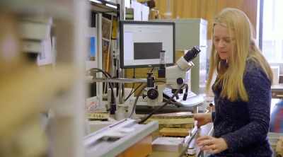 Scientist dr. Charlotte pearson
believes that the key to dating - Mysteries of the Deep