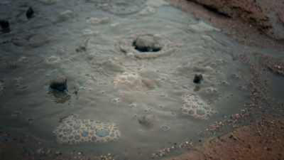 Scientists believe
that somewhere around
four billion years ago - One Strange Rock