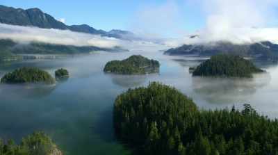 Scientists call it the Holocene. - David Attenborough: A Life on Our Planet