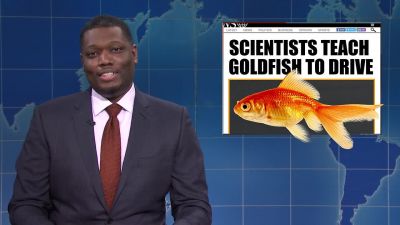 Scientists have trained a
goldfish to drive a car. - Saturday Night Live