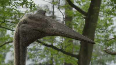 Scientists needed evidence
to persuade them - Prehistoric Planet