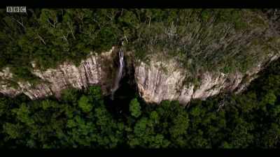 Scientists predict that
in the future, - Extinction: The Facts