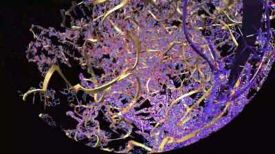 Scientists using super computers
could not solve it. - Lo and Behold: Reveries of the Connected World