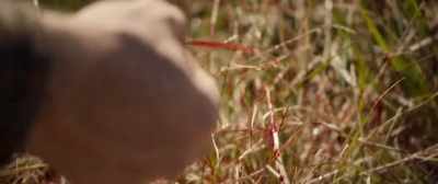 (SCOFFS) Jesus, Gary.
What about us? - The House That Jack Built
