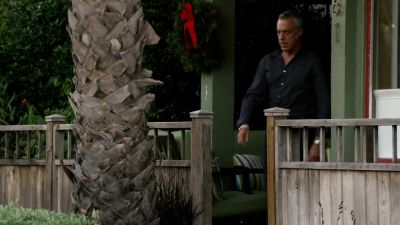 [ Scoffs ] - Bosch