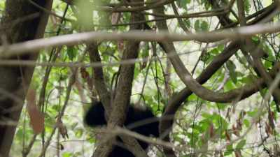 [ Scoffs ] - When Nature Calls with Helen Mirren