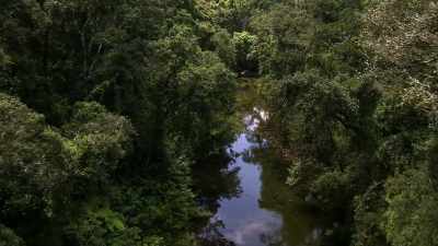 [ Scoffs ] - When Nature Calls with Helen Mirren