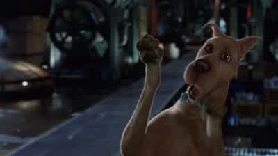 Scooby-Doo, what are you doing, man? - Scooby Doo