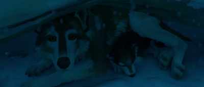 Scooby, it's only a couple of... - White Fang
