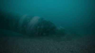 Scooping up a mouthful,
they partially close their jaws, - Prehistoric Planet