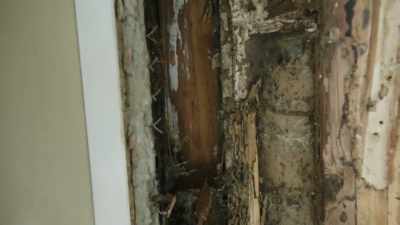 - [Scott] Right.
- I can't even begin to think, - Help! I Wrecked My House