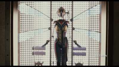 (SCOTT SIGHS) - Ant Man and the Wasp