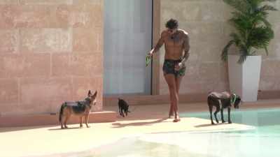 SCOTT: Terry's massive
and he's walking round - Love Island