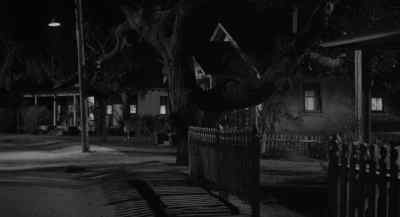 Scout! Scout! - To Kill a Mockingbird