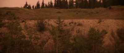 Scout, show man - Buffalo Bill and the Indians, or Sitting Bull's History Lesson