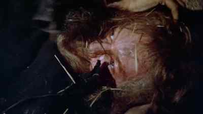 [ Scraping sound ] - The Count of Monte Cristo