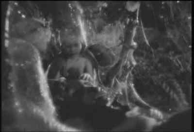 Scratch my head, Peaseblossom. - A Midsummer Night's Dream